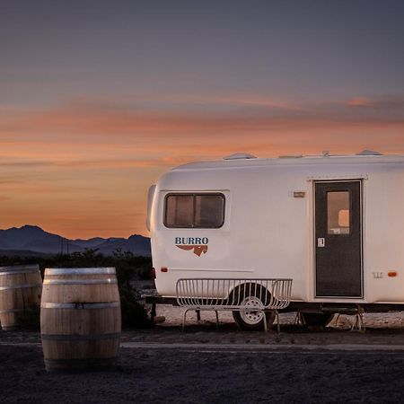 Tarantula Ranch Campground & Vineyard Near Death Valley National Park Amargosa Valley Extérieur photo
