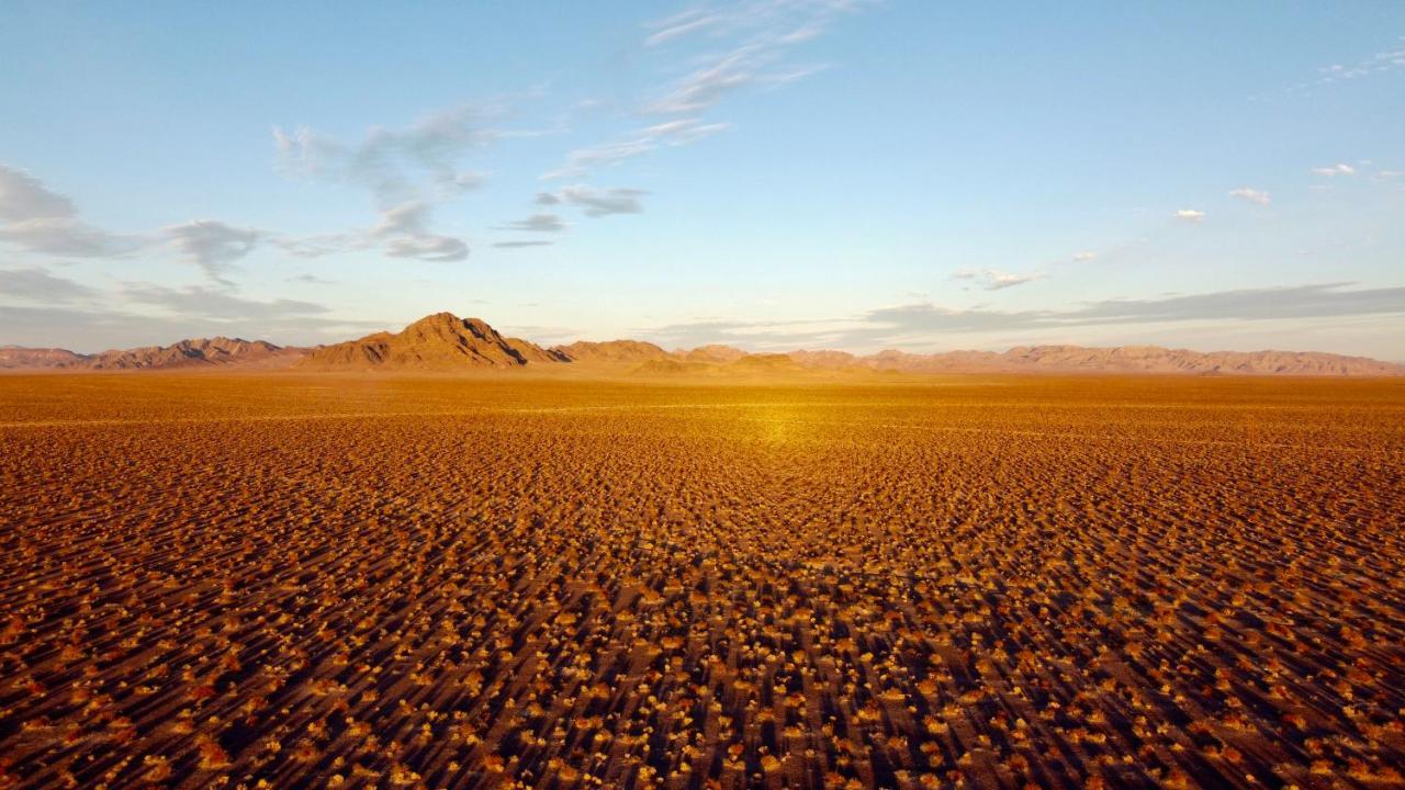 Tarantula Ranch Campground & Vineyard Near Death Valley National Park Amargosa Valley Extérieur photo