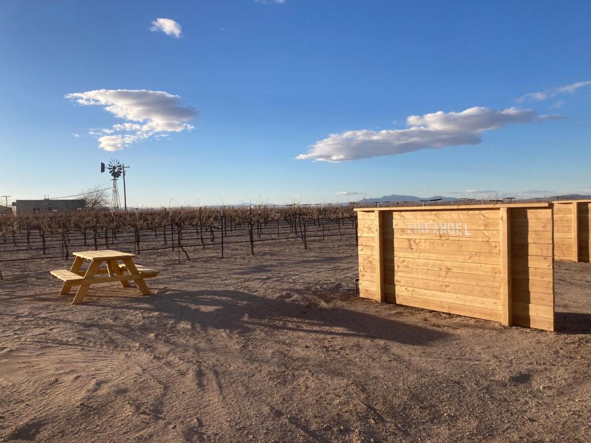 Tarantula Ranch Campground & Vineyard Near Death Valley National Park Amargosa Valley Extérieur photo