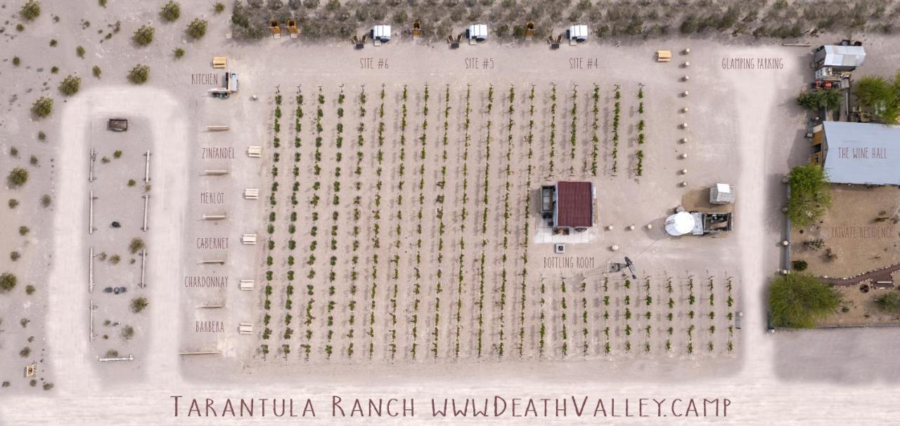 Tarantula Ranch Campground & Vineyard Near Death Valley National Park Amargosa Valley Extérieur photo
